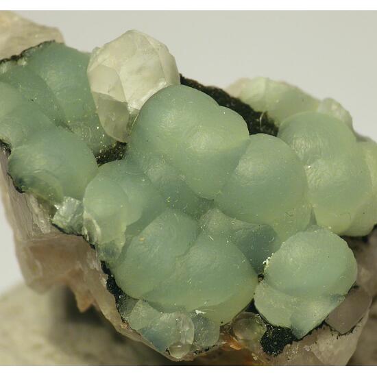 Prehnite