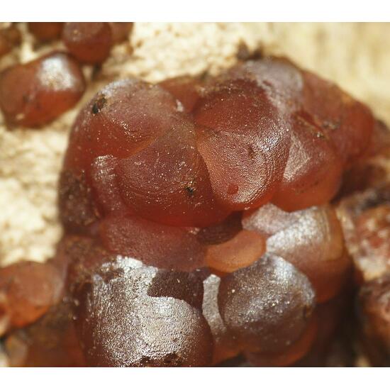 Rhodochrosite