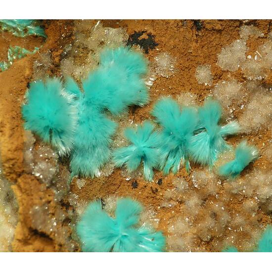 Aurichalcite