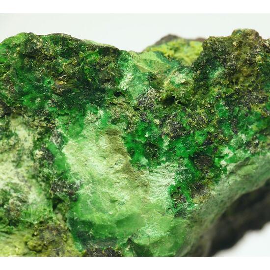 Népouite