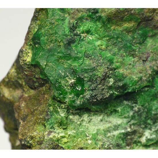 Népouite