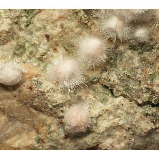 Picropharmacolite