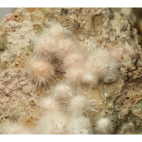 Picropharmacolite