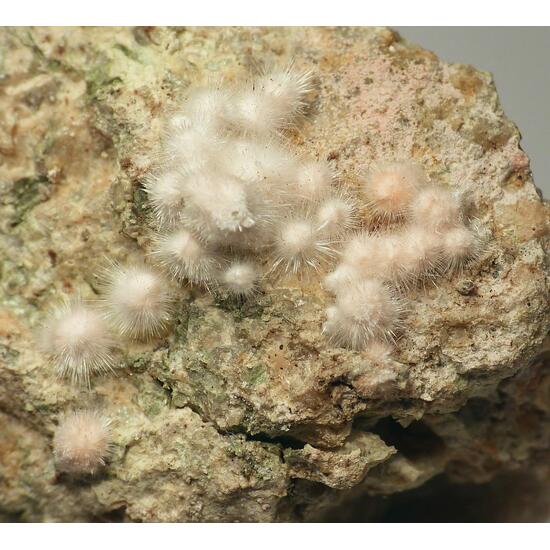 Picropharmacolite