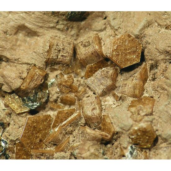 Pyrosmalite-(Fe)