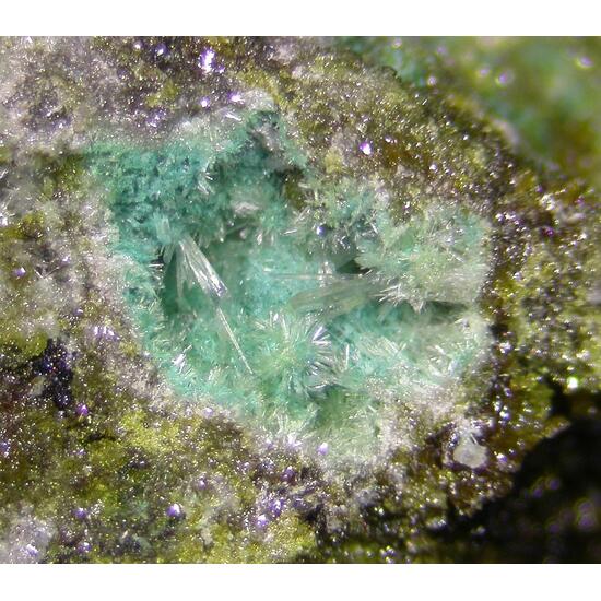 Rosiaite & Tripuhyite