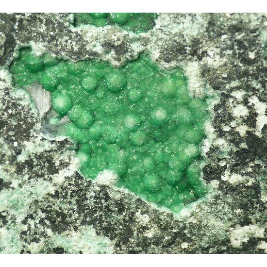 Variscite