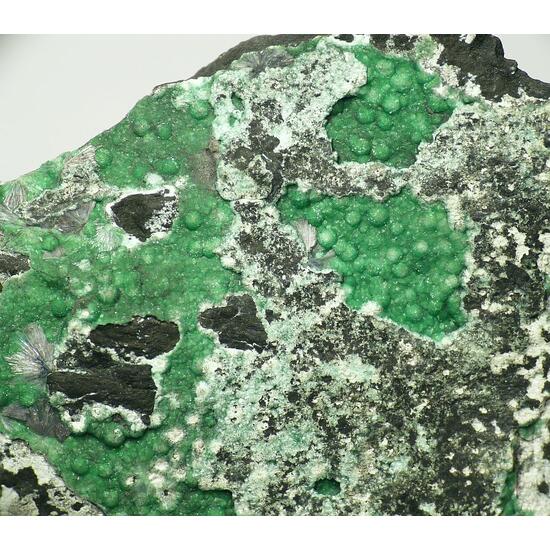 Variscite