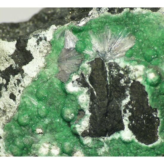 Variscite