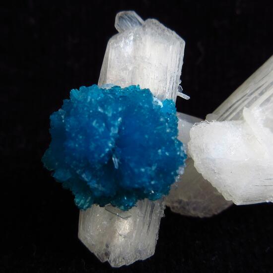 Cavansite & Stilbite