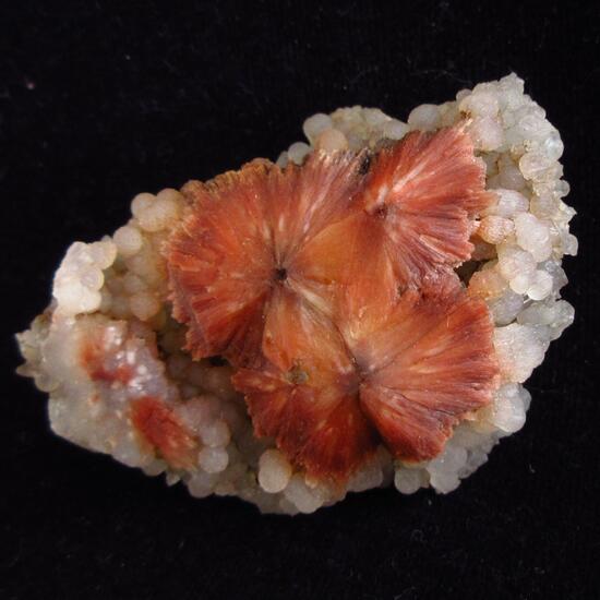 Scolecite & Chalcedony