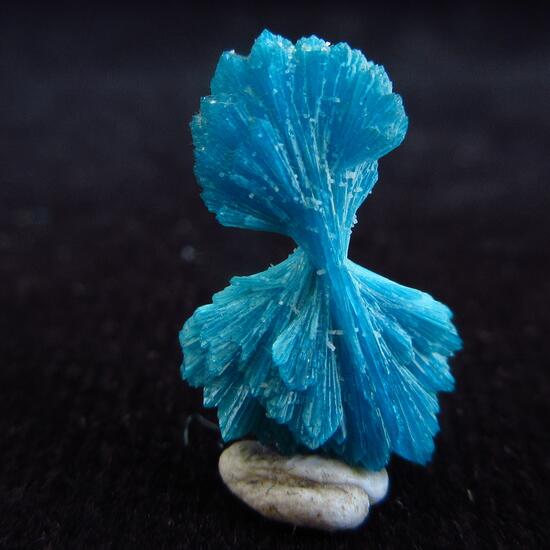 Cavansite