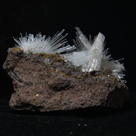 Scolecite