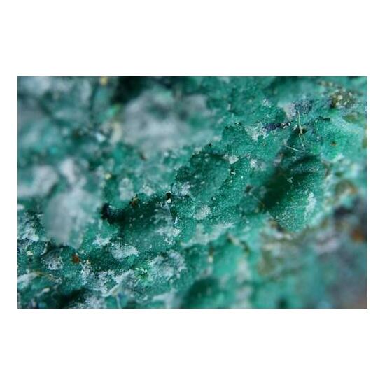 Clinoatacamite