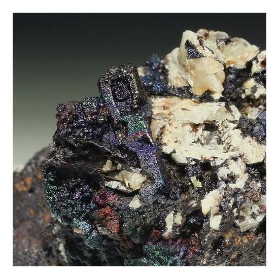 Cerussite Psm Anglesite & Goethite