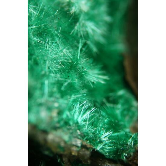 Brochantite