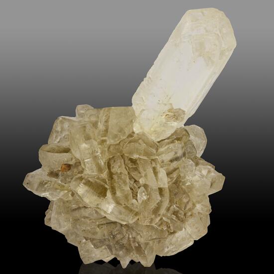 Gypsum