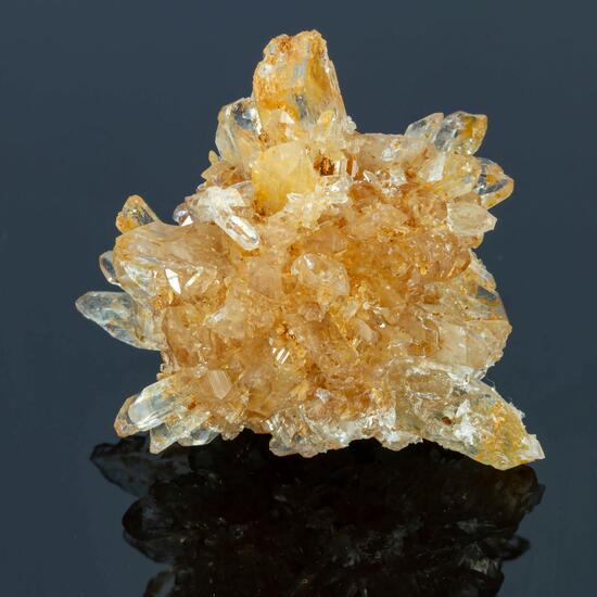 Creedite