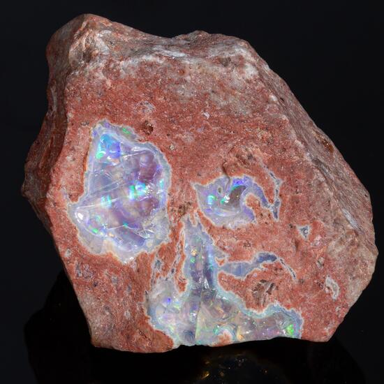 Precious Opal Opal