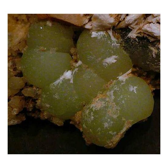 Prehnite Laumontite Babingtonite & Byssolite