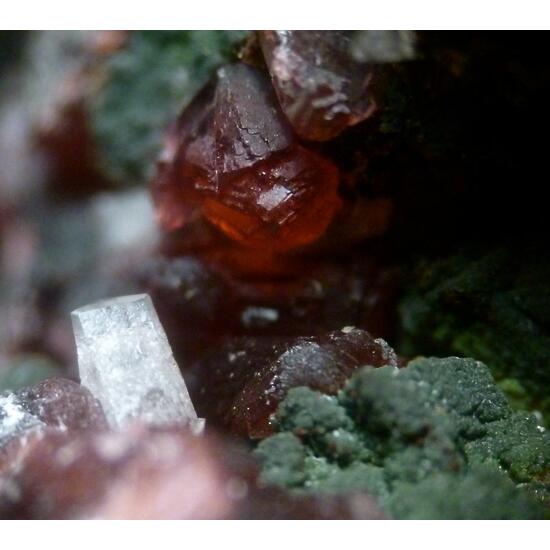 Cobaltaustinite Cobaltlotharmeyerite & Roselite