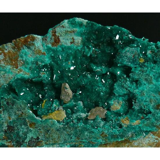 Dioptase & Wulfenite