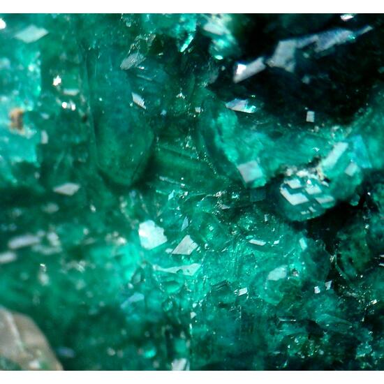 Dioptase & Wulfenite