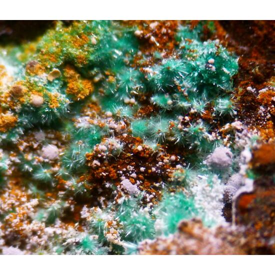 Malachite Chalcoalumite & Azurite