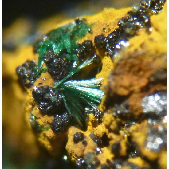 Murdochite & Malachite