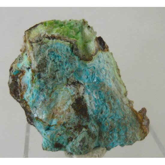 Mottramite Phosphohedyphane & Chrysocolla