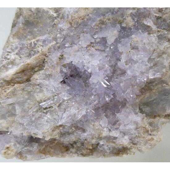 Creedite