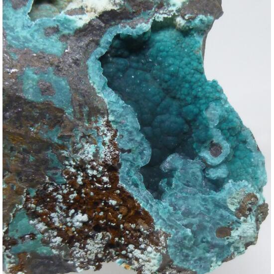 Rosasite & Aurichalcite