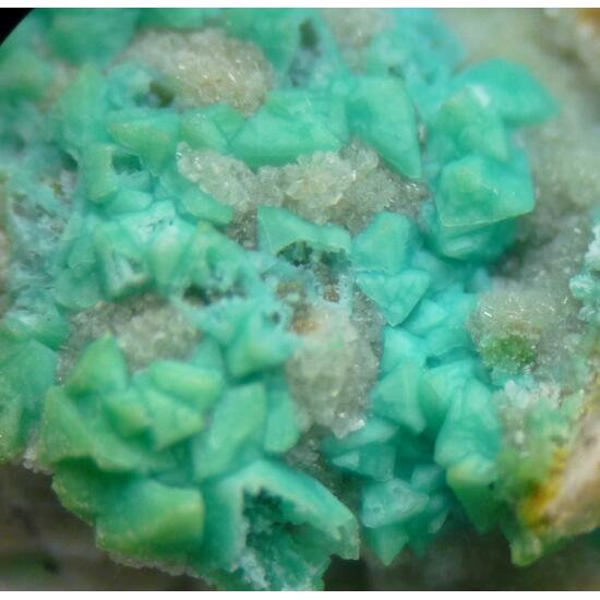 Chrysocolla Psm Veszelyite & Hemimorphite