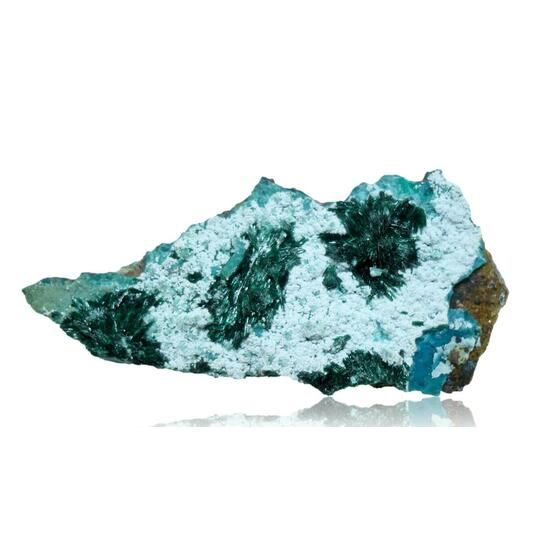 Atacamite & Halloysite