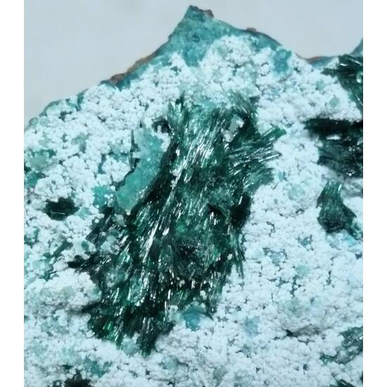 Atacamite & Halloysite