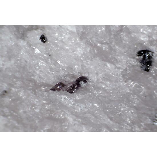 Ellenbergerite Pyrope & Rutile