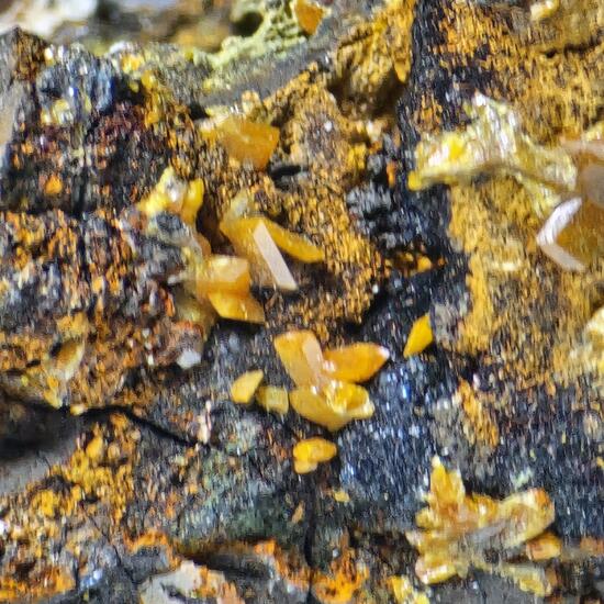 Wulfenite