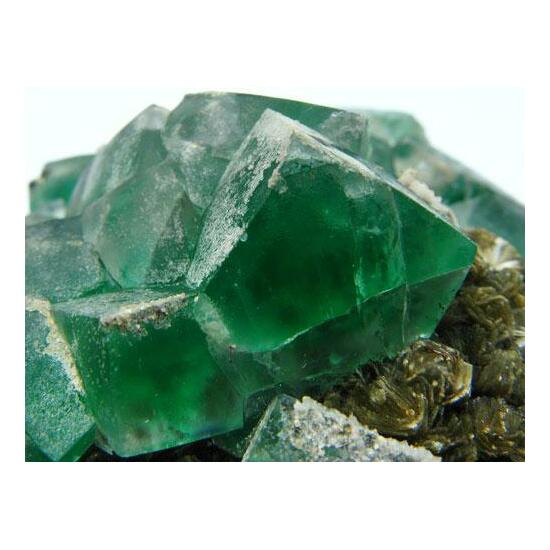 Fluorite On Muscovite