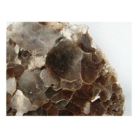 Muscovite