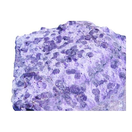 Orbicular Sugilite