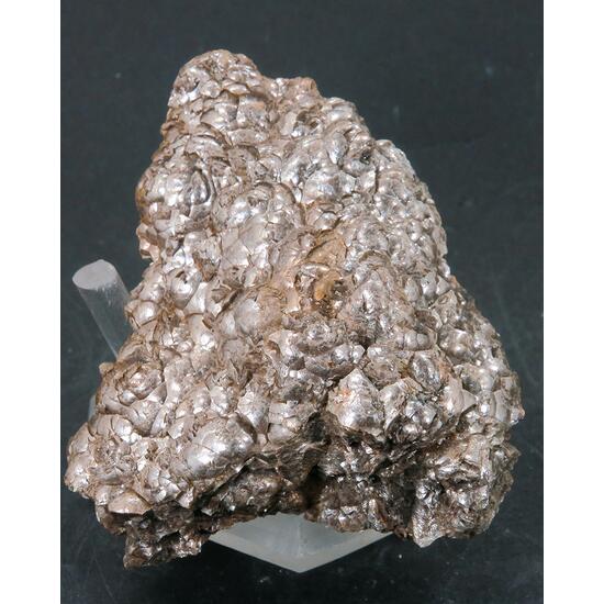 Muscovite