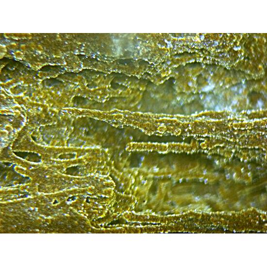 Samtblende