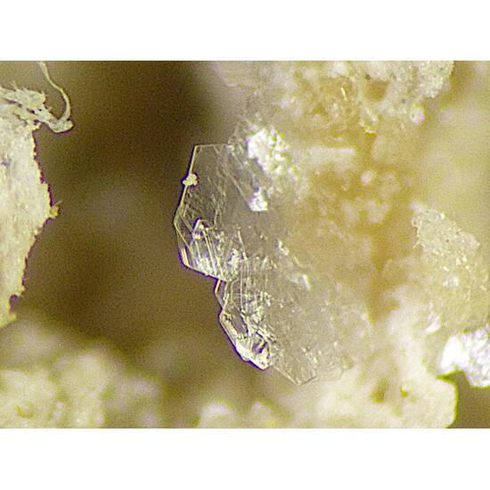 Aristarainite