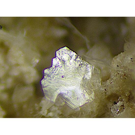 Aristarainite