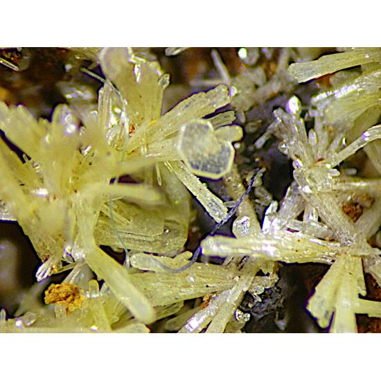 Mimetite & Wulfenite