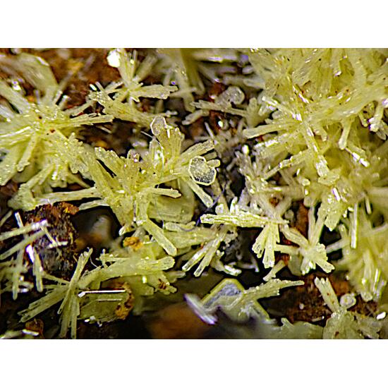 Mimetite & Wulfenite