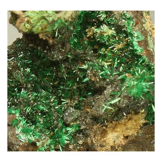 Brochantite