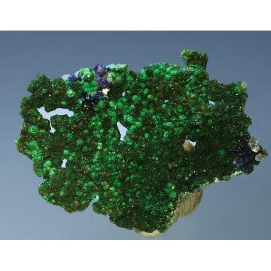 Brochantite & Azurite On Native Copper