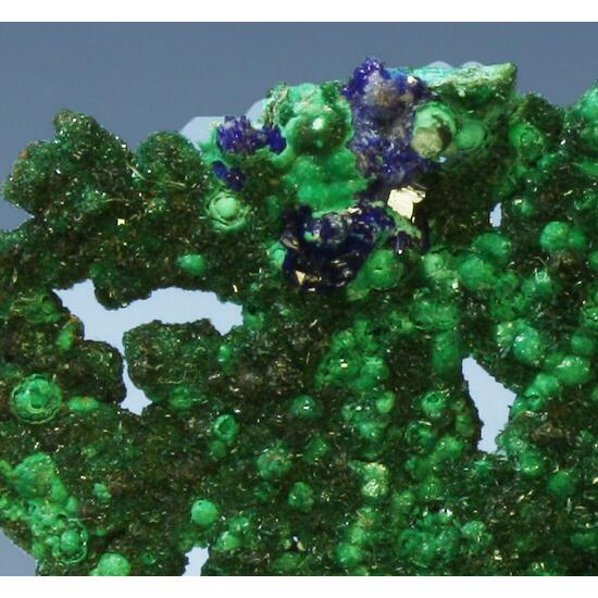 Brochantite & Azurite On Native Copper