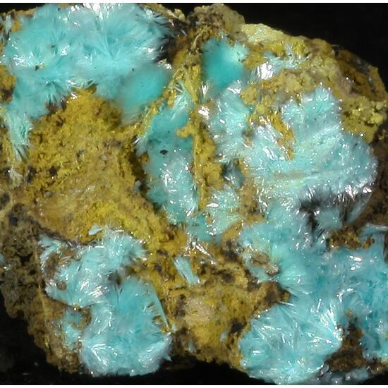 Aurichalcite